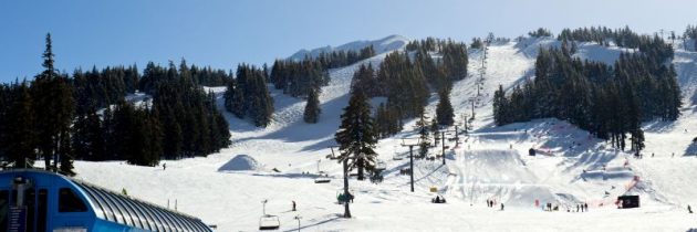 Kom sikkert ned at løjperne på skiferien