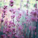 Friske blomster