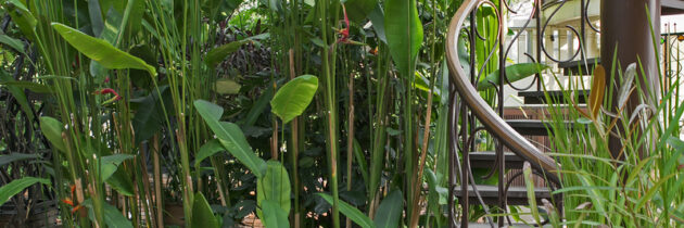 Gør Haven Hyggelig med Udendørs Bambus Havemøbler